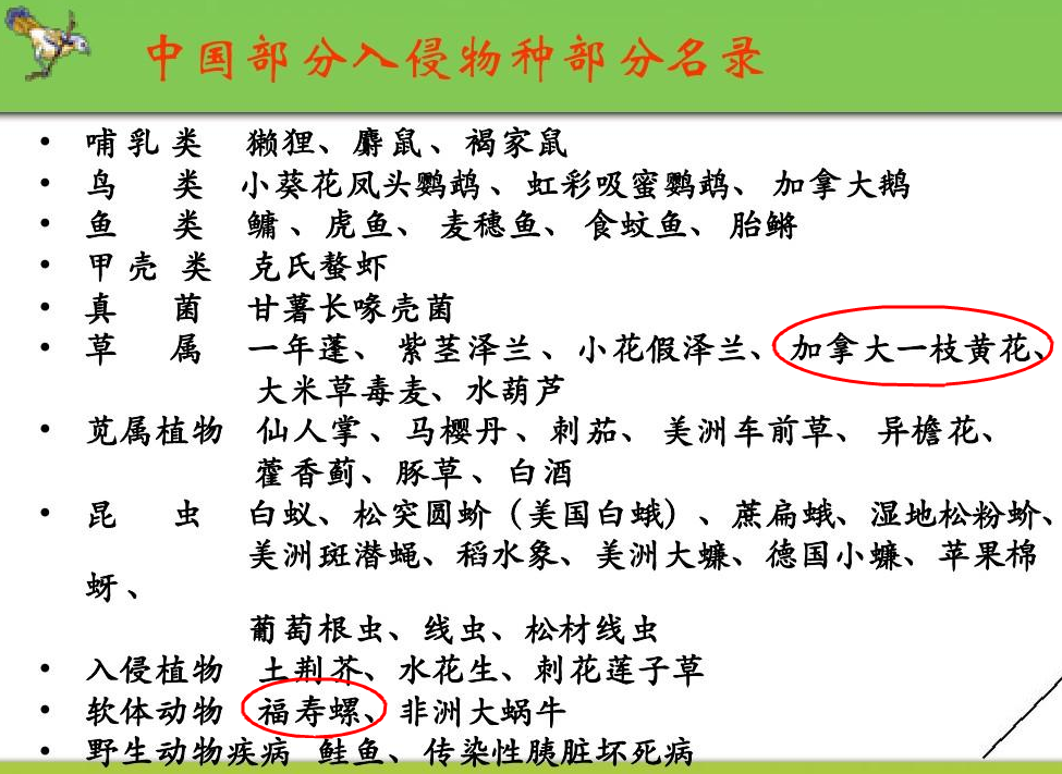fd4636ea74e3a7cb2f54a62808a077ad.png