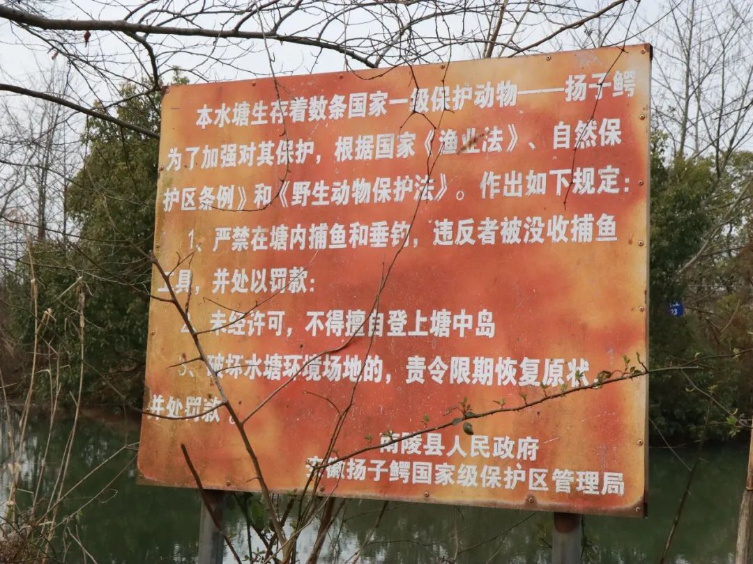 微信图片_20230407151750.jpg